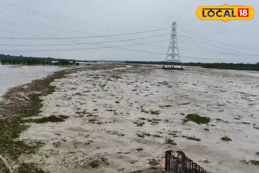 তোর্ষা নদীতে জল বাড়লেই মেলে নানান ধরনের মাছ। জেলেরা হাসিমারা, জয়গাঁ তোর্ষা নদীতে একটু জল বাড়লেই ভিড় জমান। এবারে বেশি জল রয়েছে নদীতে, যারফলে মিলছে বড় থেকে ছোট সব ধরনের মাছ। বোরোলি, এলং, আর, রুই মাছ মিলছে বলে জানা যায়।