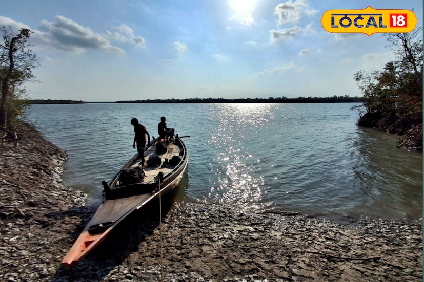 বহু পরিবার প্রজন্ম ধরে এই কাজের সঙ্গে যুক্ত। তাঁদের পেশাগত দক্ষতা এবং জীবনধারা সুন্দরবনের বনের সম্পদের উপর নির্ভরশীল। সুন্দরবনের মৎস্যজীবী সহ এই মানুষদের জঙ্গলে প্রবেশের মূল কারণ হল দারিদ্র্য, বিকল্প কাজের অভাব এবং বংশগত পেশার ওপর সম্পূর্ণ নির্ভরতা। 