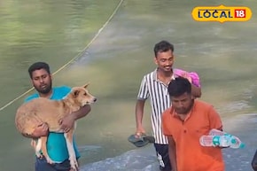 দড়ি ধরেই জঙ্গল থেকে বের হচ্ছে মানুষ, সারমেয়! ছবি দেখলে ভয়ে আতঁকে উঠবেন