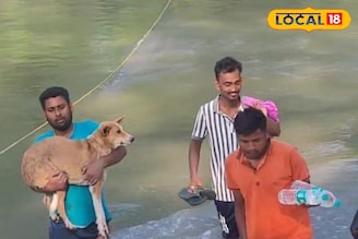 দড়ি ধরেই জঙ্গল থেকে বের হচ্ছে মানুষ, সারমেয়! ছবি দেখলে ভয়ে আতঁকে উঠবেন
