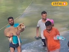 দড়ি ধরেই জঙ্গল থেকে বের হচ্ছে মানুষ, সারমেয়! ছবি দেখলে ভয়ে আতঁকে উঠবেন