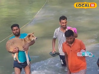 দড়ি ধরেই জঙ্গল থেকে বের হচ্ছে মানুষ, সারমেয়! ছবি দেখলে ভয়ে আতঁকে উঠবেন