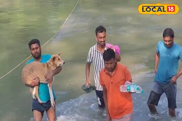 দড়ি ধরেই জঙ্গল থেকে বের হচ্ছে মানুষ, সারমেয়! ছবি দেখলে ভয়ে আতঁকে উঠবেন