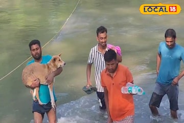 দড়ি ধরেই জঙ্গল থেকে বের হচ্ছে মানুষ, সারমেয়! ছবি দেখলে ভয়ে আতঁকে উঠবেন দড়ি ধরেই জঙ্গল থেকে বের হচ্ছে মানুষ, সারমেয়! ছবি দেখলে ভয়ে আতঁকে উঠবেন