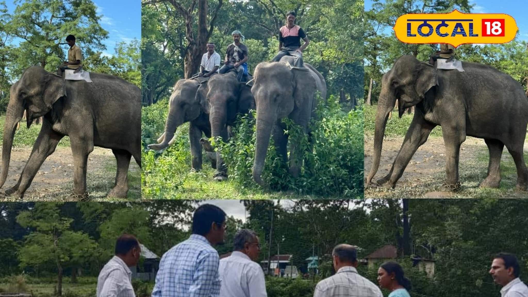 North Bengal Animals in Problem: গণ্ডার-সহ অন্য বন্য প্রাণীরা জলে ডুবে, অসহায় অবস্থা, দুর্গম এলাকায় পৌঁছাতে ভরসা একমাত্র হাতি