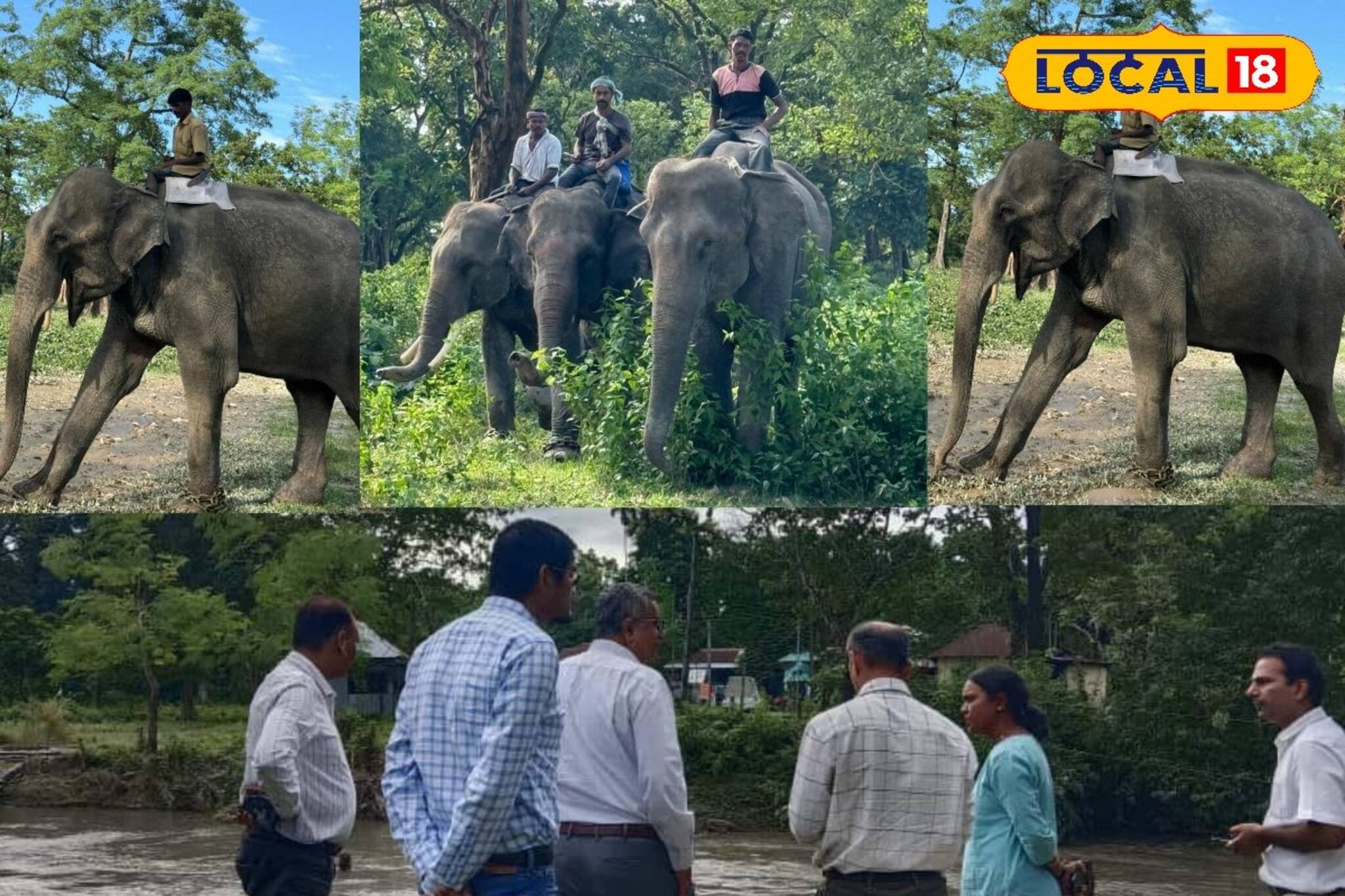 North Bengal Animals in Problem: গণ্ডার-সহ অন্য বন্য প্রাণীরা জলে ডুবে, অসহায় অবস্থা, দুর্গম এলাকায় পৌঁছাতে ভরসা একমাত্র হাতি