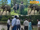 গণ্ডার সহ অন্য বন্য প্রাণীরা জলে ডুবে, অসহায় অবস্থা, দুর্গম এলাকায় পৌঁছাতে ভরসা হাতি