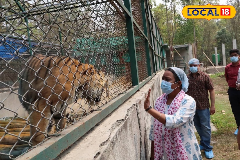 বনমন্ত্রী বীরবাহা হাঁসদা পশুপ্রেমী , প্রতিনিয়তই দেখা যায় বন্যপ্রাণীদের সঙ্গে তার ভালোবাসা ও আদরের ছবি। তাই এই পরিস্থিতিতে গোটা বিষয়টি তিনি নিজেই তদারকি করছেন উত্তরবঙ্গ থেকে। তিনি আশাবাদী, “আগামী কয়েকদিনের মধ্যে পরিস্থিতি স্বাভাবিক হবে। তবে এখনই কিছু বলা কঠিন, কারণ যতক্ষণ না জঙ্গলের গভীরে পৌঁছনো যাচ্ছে, প্রকৃত ক্ষয়ক্ষতি বোঝা যাচ্ছে না।” (ছবি ও তথ্য - তন্ময় নন্দী)