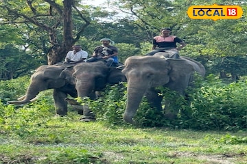 গণ্ডার-সহ অন্য বন্য প্রাণীরা জলে ডুবে,অসহায় অবস্থা, দুর্গম এলাকায় পৌঁছাতে ভরসা হাতি গণ্ডার-সহ অন্য বন্য প্রাণীরা জলে ডুবে,অসহায় অবস্থা, দুর্গম এলাকায় পৌঁছাতে ভরসা হাতি