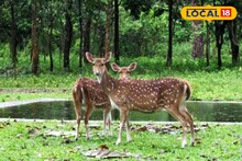 Weekend Trip: কলকাতা থেকে মাত্র তিন ঘন্টার পথ, শীতের আমেজ নিতে ঘুরে আসুন নদিয়ার এই ৬'টি জায়গায়