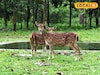 কলকাতা থেকে মাত্র তিন ঘন্টার পথ, শীতের আমেজ নিতে ঘুরে আসুন নদিয়ার এই ৬'টি জায়গায়