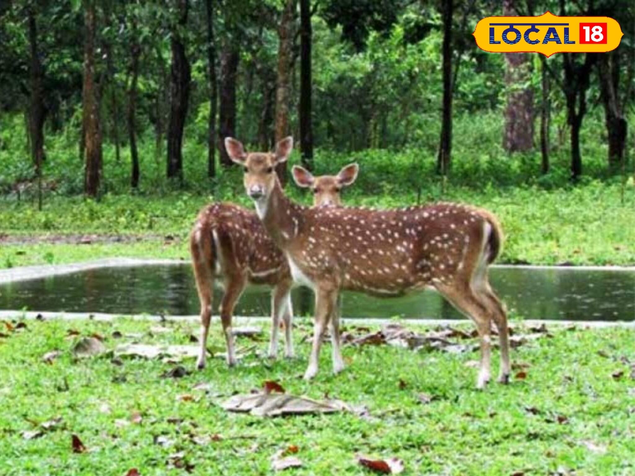 Weekend Trip: কলকাতা থেকে মাত্র তিন ঘন্টার পথ, শীতের আমেজ নিতে ঘুরে আসুন নদিয়ার এই ৬'টি জায়গায়