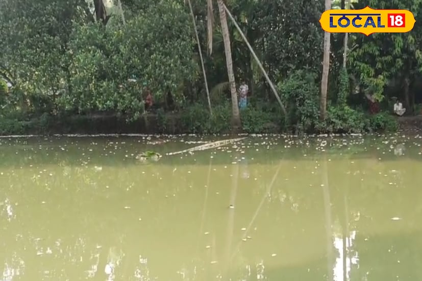 স্থানীয় সূত্রে জানা গিয়েছে, বহুদিন ধরেই জীবিকার একমাত্র ভরসা হিসেবে মাছ চাষ করে আসছিলেন কাদিরুল ইসলাম। নিজের পুকুর না থাকায় অন্যের কাছ থেকে লিজ নিয়ে মাছ চাষ করেন তিনি। অভিযোগ, সম্প্রতি গ্রামেরই এক যুবক কামাল উদ্দিন প্রায়ই তার পুকুর থেকে ছিপ ফেলে মাছ চুরি করত। কাদিরুল যখন এই চুরির প্রতিবাদ করেন এবং গ্রামবাসীদের জানান, তখনই শুরু হয় বিবাদ।