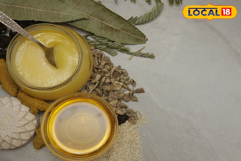 *খাঁটি ঘি খেলে স্থূলতা কমতে পারে, হৃদযন্ত্রের স্বাস্থ্য ঠিক থাকে, ত্বকের গুণমান উন্নত করতে এবং হজমের স্বাস্থ্য বাড়াতে সাহায্য করতে পারে। তবে অতিরিক্ত খেলে রয়েছে বিপদ। কী হতে পারে?