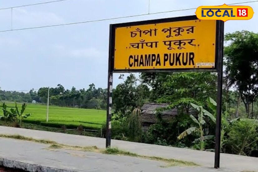 নিত্যযাত্রীদের মতে, ডবল লাইন চালু হলে অফিস ও স্কুলযাত্রীদের যাতায়াত আরও স্বাচ্ছন্দ্যময় হবে। স্থানীয় ব্যবসায়ীরাও আশা করছেন, পণ্য পরিবহনে গতি আসবে এবং বসিরহাট-হাসনাবাদ অঞ্চলের অর্থনৈতিক কর্মকাণ্ডে ইতিবাচক প্রভাব ফেলবে এই প্রকল্প।