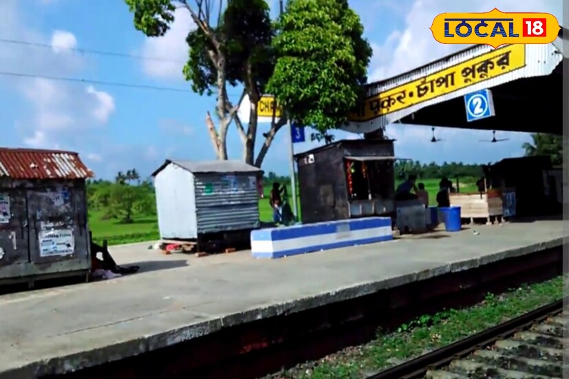 বর্তমানে চাঁপাপুকুর থেকে হাসনাবাদ পর্যন্ত প্রায় ১৬.৫৪ কিলোমিটার রেলপথে একটিমাত্র লাইন রয়েছে। এই সিঙ্গেল লাইনেই প্রতিদিন ২৩ জোড়া ইএমইউ ট্রেন চলাচল করে। ফলে ট্রেনের ক্রসিংয়ের জন্য বহুবার স্টেশনে অপেক্ষা করতে হয়, যার জেরে যাত্রীরা প্রায়ই বিলম্বে পৌঁছান গন্তব্যে। রেল সূত্রে খবর, এই সমস্যার স্থায়ী সমাধান হিসেবেই ডবল লাইন প্রকল্প শুরু করা হচ্ছে।