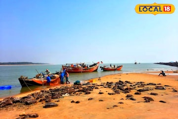 সুখবর...! কালীপুজোর আগেই বাজারে উপচে পড়বে টন টন ইলিশ! মিলবে একেবারে জলের দামে... সুখবর...! কালীপুজোর আগেই বাজারে উপচে পড়বে টন টন ইলিশ! মিলবে একেবারে জলের দামে...