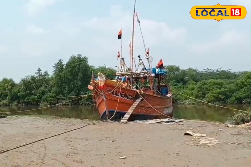 মৎস্যজীবীরা বলছেন, এবারে সমুদ্রে মাছের পরিমাণও আগের তুলনায় ভাল। বিশেষ করে ইলিস, পমফ্রেট, ভেটকি-সহ সামুদ্রিক মাছ বেশ ভালই আসছে তাই দীপাবলীর আগে তাঁদের মুখে এখন আনন্দের হাসি। পরিবার-পরিজন নিয়ে উৎসবের মরসুম উপভোগ করার প্রস্তুতিও শুরু হয়েছে। দীর্ঘ দুর্যোগের পর জীবনে ফিরেছে আশার আলো।