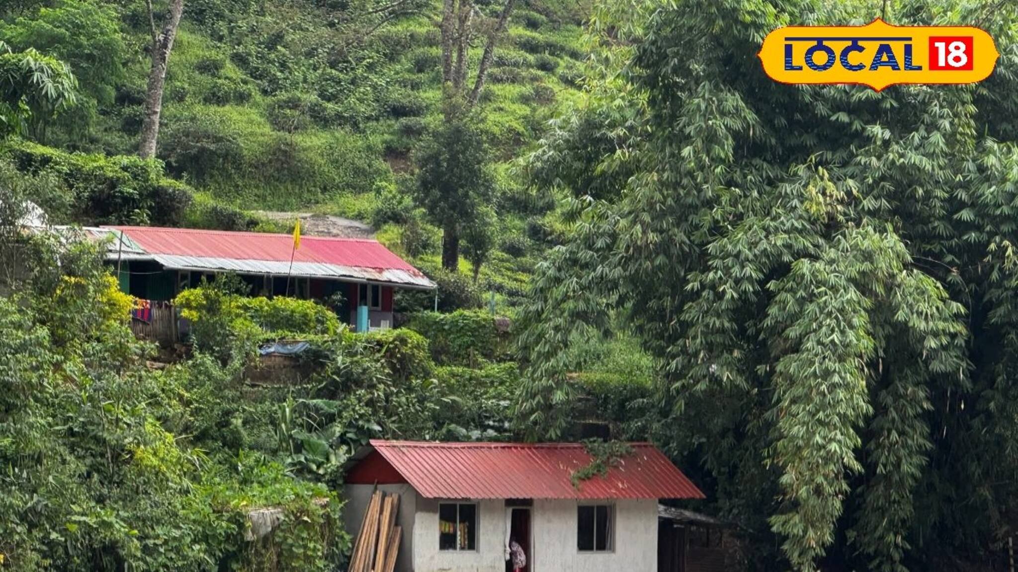 সেদিন রাতে ঠিক কী ঘটেছিল মিরিকে? সামনে এল ভয়াবহ দৃশ্য! দেখুন... পাহাড়প্রেমীরা শিউরে উঠবেন