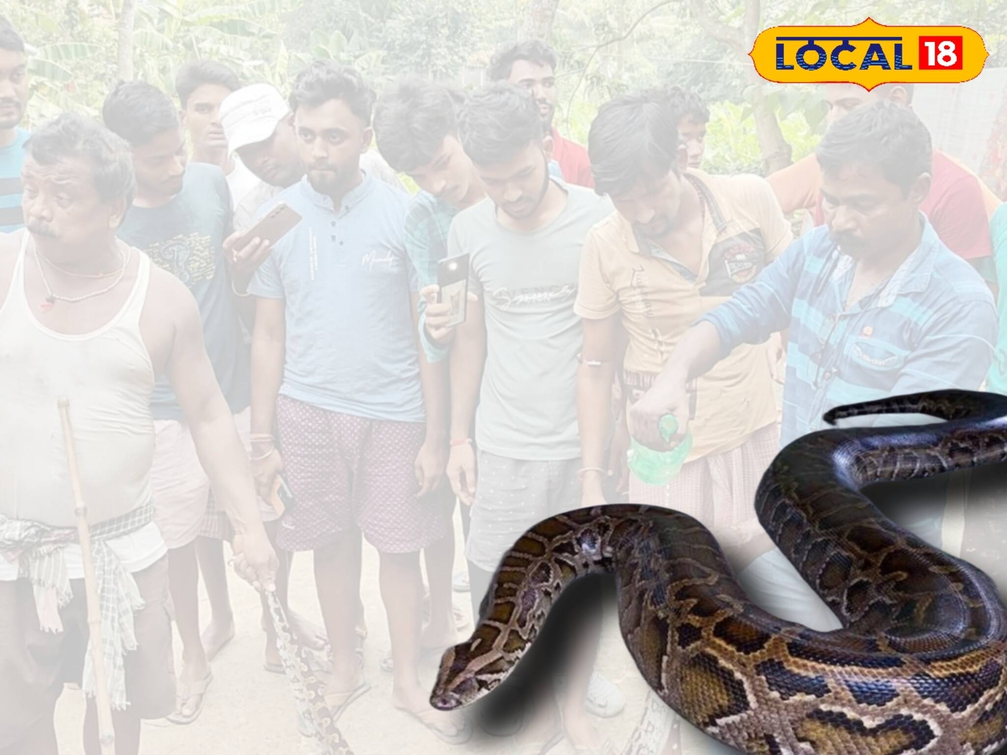 এই প্রথমবার! তাও ধান চাষের জমিতে, ধান কাটতে গিয়ে যা চোখে পড়ল, দেখে চমকে গেছে সকলে