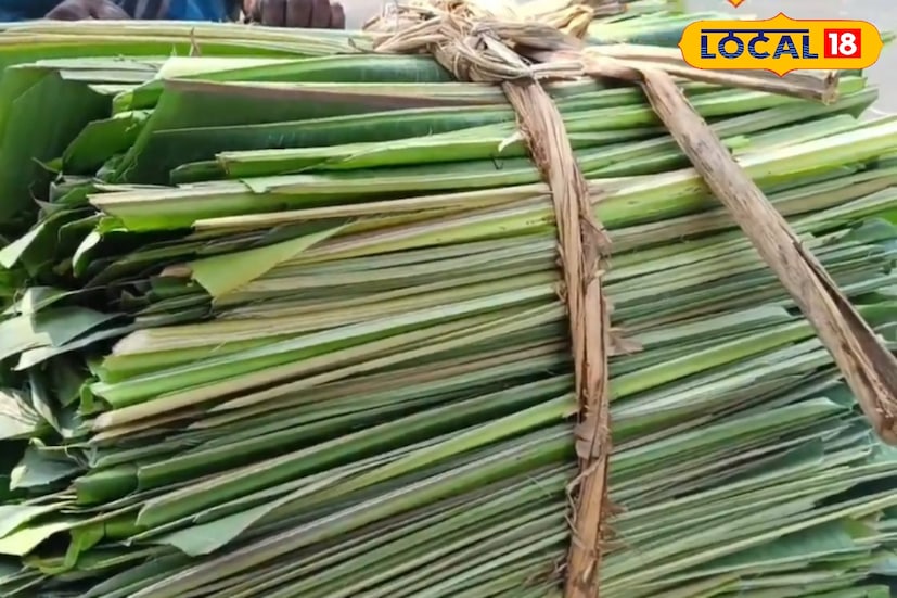 একটি কলাগাছ থেকে একাধিক বড় ও ছোট পাতা সংগ্রহ করা যায়। স্থানীয় ব্যবসায়ীরা প্রতিটি কলাপাতা ৫০ পয়সা থেকে ১ টাকায় কেনেন, আবার অনেক ক্ষেত্রেই বিনামূল্যেও পেয়ে যান। পরে সেগুলি কলকাতায় বিক্রি করে ৫-৮ টাকা পিস দাম মেলে। যদিও পর্যাপ্ত সংরক্ষণ ব্যবস্থা না থাকায় কলাপাতা দ্রুত শুকিয়ে যায় ও নষ্ট হয়—এই সমস্যা এখনো বড় চ্যালেঞ্জ।