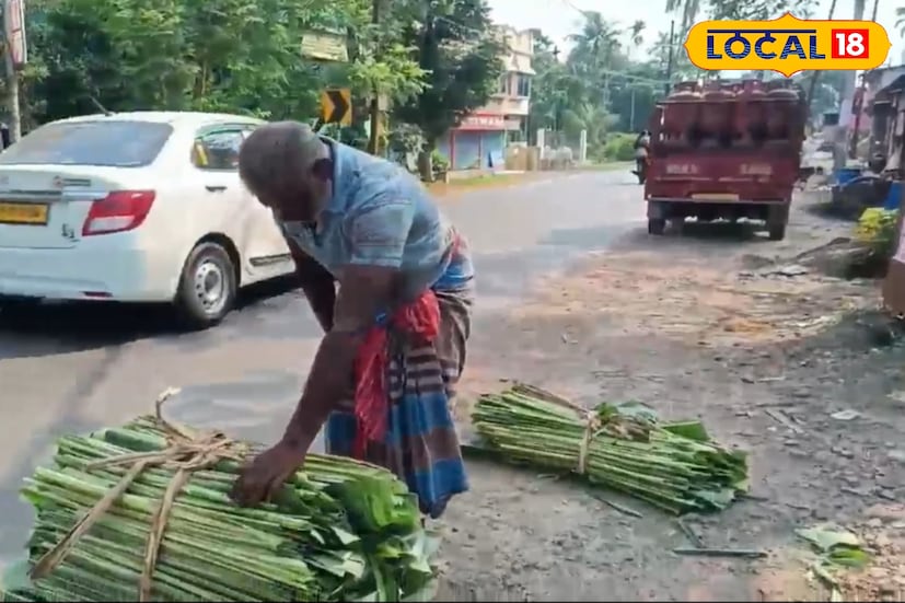 খাবার পরিবেশন, ধর্মীয় ও সামাজিক অনুষ্ঠান কিংবা পাতুড়ি তৈরিতে এই কলাপাতার চাহিদা এখন যথেষ্ট। কলকাতা ও আশেপাশের হোটেল, রেস্তোরাঁ, ক্যাটারিং সার্ভিস থেকে শুরু করে প্যাকেজিং কোম্পানিগুলিও এখন পরিবেশবান্ধব বিকল্প হিসেবে কলাপাতা ব্যবহার করছে। এতে একদিকে যেমন প্লাস্টিকের ব্যবহার কমছে, অন্যদিকে প্রান্তিক মানুষের জন্য আয়ের নতুন রাস্তা খুলছে।