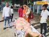 শ্বশুরের গোপনাঙ্গ টিপেই সটান কামড় বসাল পুত্রবধু, মুহূর্তে যা ঘটে গেল...! মর্মান্তিক ঘটনা