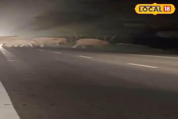 গভীর রাতে রাস্তায় সবাই দাঁড়িয়ে, নজর এক জায়াগায়! গায়ে কাঁটা দেওয়ার মতো দৃশ্য গভীর রাতে রাস্তায় সবাই দাঁড়িয়ে, নজর এক জায়াগায়! গায়ে কাঁটা দেওয়ার মতো দৃশ্য