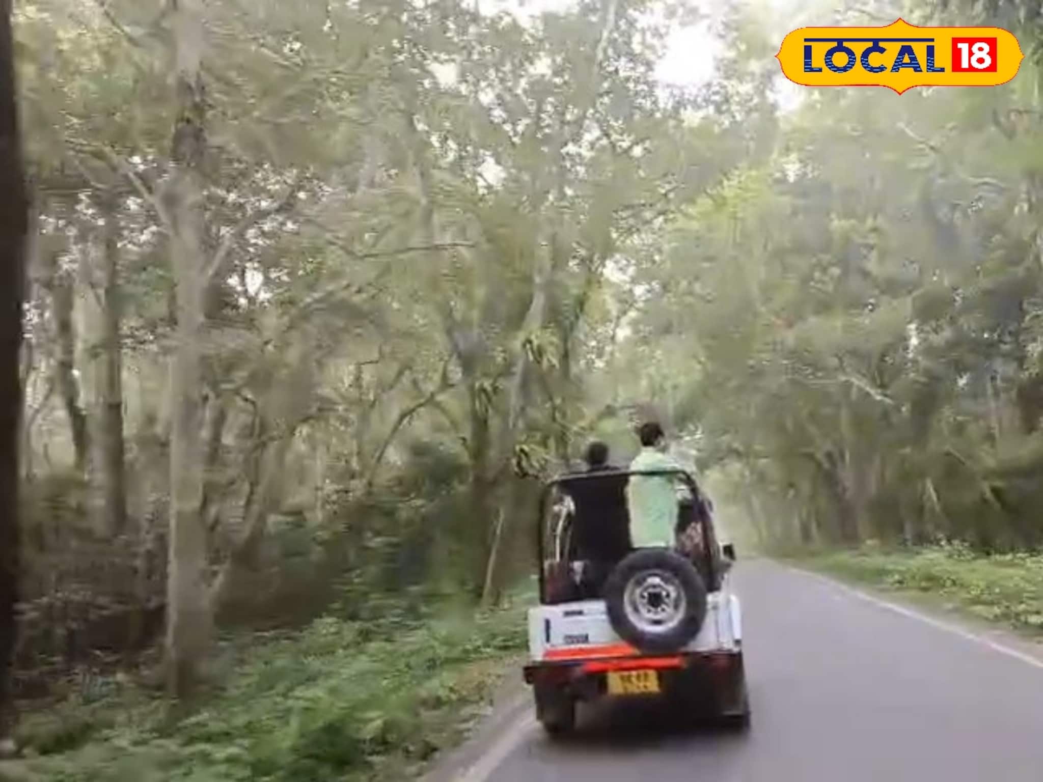 Jungle Safari Starts In Alipurduar: ঝড়ঝঞ্ঝার দাপট কাটিয়ে দ্রুত ট্যুরিস্টদের স্বাগত জানতে রেডি ডুয়ার্সের জঙ্গল, আপনি প্ল্যান ক্যানসেল করলে পস্তাবেন