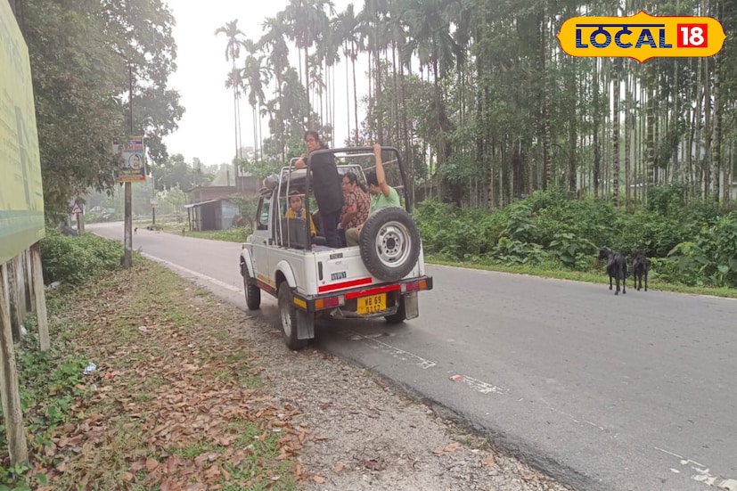 আলিপুরদুয়ার, অনন্যা দে: জলদাপাড়া জাতীয় উদ্যানের চিলাপাতা, কোদালবস্তি এবং শালকুমার গেটে জঙ্গল সাফারি শুরু হল শুক্রবার সকাল থেকে। এদিন পর্যটকদের উপচে পড়া ভিড় দেখা না গেলেও, কিছু পর্যটকের দেখা মিলেছে। তবে জলদাপাড়া মাদারিহাট গেট থেকে এখনও জঙ্গল সাফারি শুরু হয়নি। এই নিয়ে মন খারাপ পর্যটকদের।