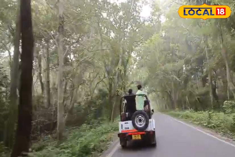 জলদাপাড়া জাতীয় উদ্যানের কাছাকাছি দেখা যায় তিনটি নদীর অবস্থান তোর্ষা, শিসামারা এবং হলং। গত শনিবার ও রবিবার টানা বৃষ্টির জেরে তিনটি নদীতেই বানভাসি পরিস্থিতি দেখা যায়। ক্ষতিগ্রস্ত হয় এই জঙ্গল। 