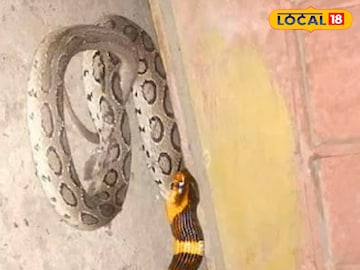শঙ্খিনী 