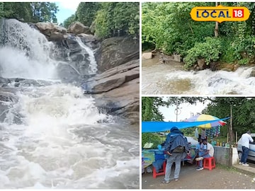 পর্যটকেরা