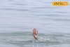দাদু-দিদার সঙ্গে আত্মীয়ের বাড়ি বেড়াতে এসে শিশুর ভয়ঙ্কর পরিণতি! খেলতে খেলতেই সব শেষ...