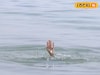 দাদু-দিদার সঙ্গে আত্মীয়ের বাড়ি বেড়াতে এসে শিশুর ভয়ঙ্কর পরিণতি! খেলতে খেলতেই সব শেষ...