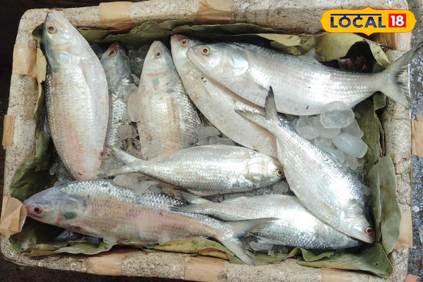 একমাসের মধ্যে ৩ থেকে ৪ বার যাওয়া যায় ট্রিপে। কিন্তু আবহাওয়া খারাপ থাকলে সেই ট্রিপের সংখ্যা কমে। তবে পরিস্থিতি অনুকূল রয়েছে জালে মাছ আসবেই বলে আশাবাদী তারা।