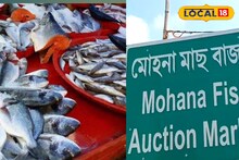 Fish Market Price: মাছের দাম বেড়ে দ্বিগুণ, তিনগুণ! টানা দুর্যোগে চড়া দাম মোহনার মাছের আড়তে, কত টাকায় মিলবে বাজারে? জানুন