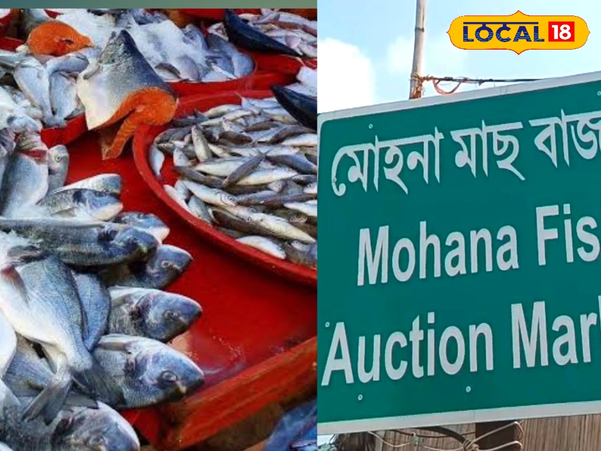মাছের দাম বেড়ে দ্বিগুণ,তিনগুণ!টানা দুর্যোগে চড়া দাম মোহনার মাছ আড়তে,কত টাকায় মিলবে বাজারে?