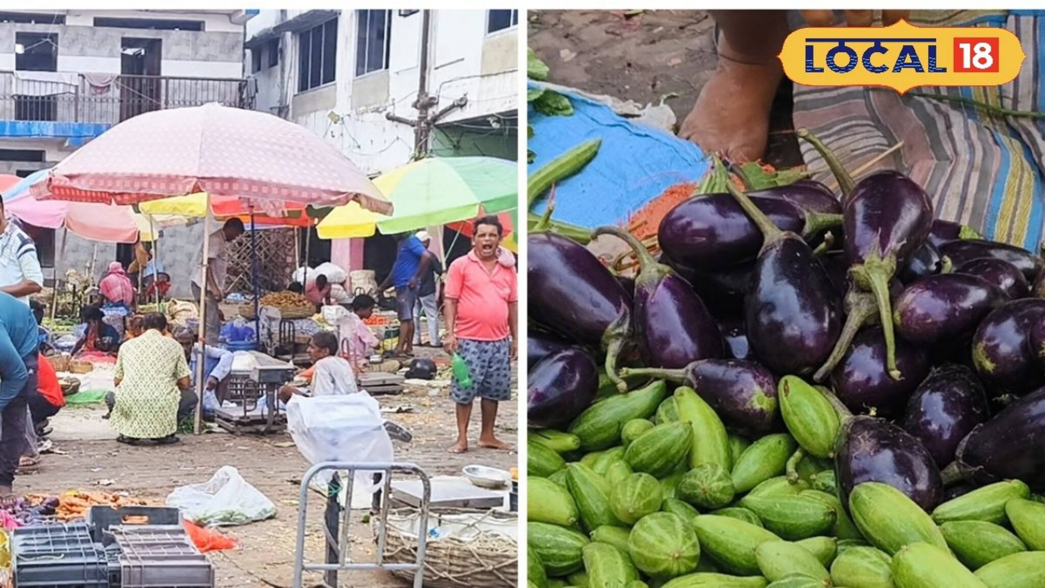 বাঙালির প্রিয় বেগুনে এবার আগুন! একলাফে তিনগুণ দামবৃদ্ধি, মাথায় হাত মধ্যবিত্তের