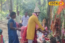 Jalpaiguri News: গরুমারার জঙ্গলে সাতপাকে বাঁধা! বন্যায় ভেসে গেছে ঘরবাড়ি...তাই প্রকৃতির মাঝেই একসাথে থাকার অঙ্গীকার