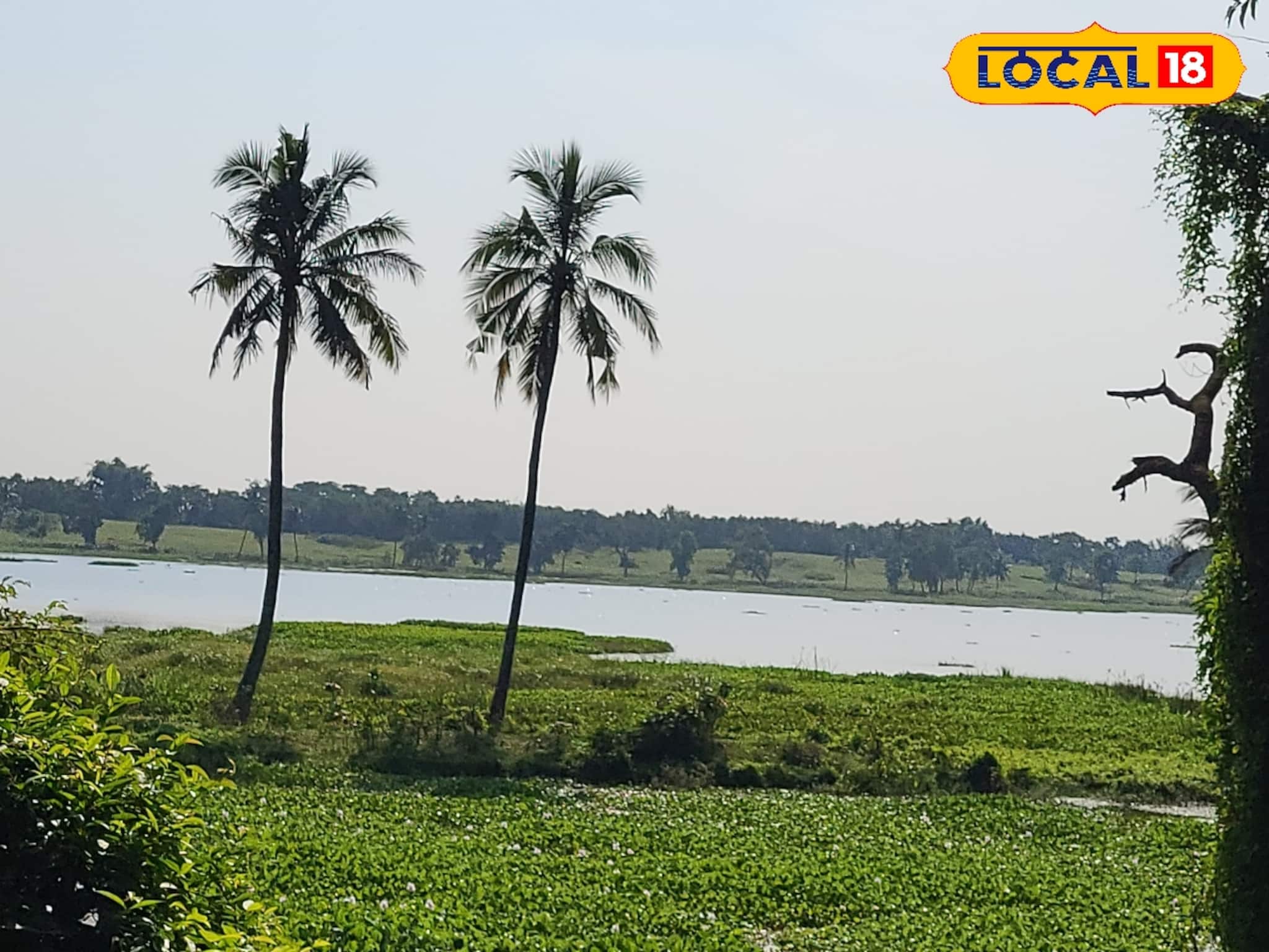 Knowledge Story: এখানে ইতিহাস কথা বলে, এক প্রান্তে দাঁড়ালে অপর প্রান্তে চোখ যায়না, বাংলার 'বৃহত্তম' পুষ্করিণী কোথায় জানেন?