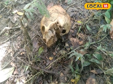 উদ্ধার মাথার খুলি