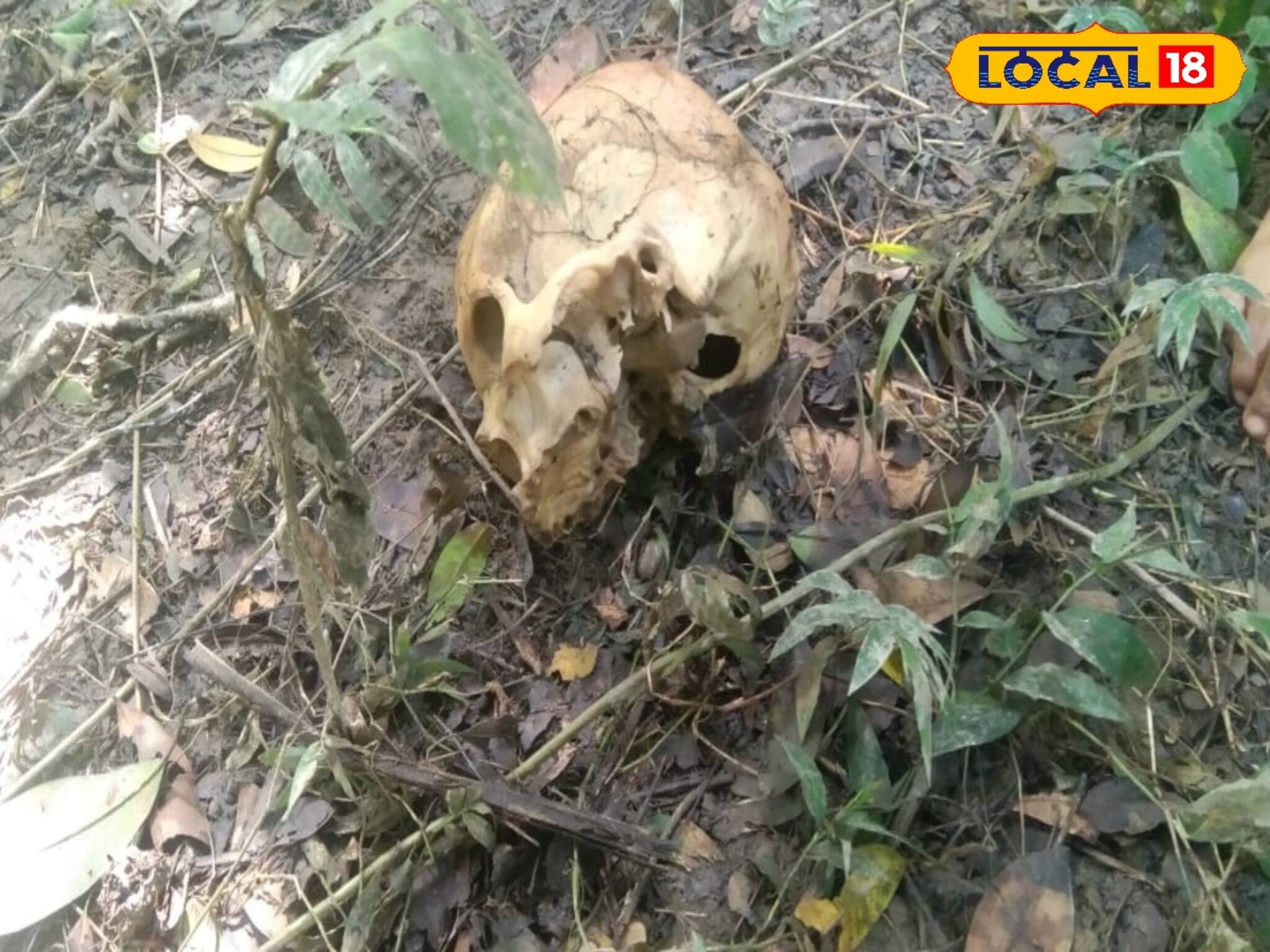 বারুইপুরে সুপারি বাগান থেকে উদ্ধার মানুষের মাথার খুলি-সহ হাড়গোড়,দেখেই আতঙ্কে ঘুম উড়ল সবার