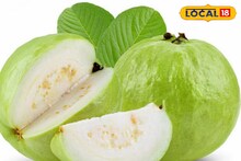 Guava: 'এই' সময়ে শুধু পেয়ারা খাবেন না..! পেয়ারা খাওয়ার 'পারফেক্ট' সময় কখন বলুন তো? উত্তর বলে দিলেন বিশেষজ্ঞ!