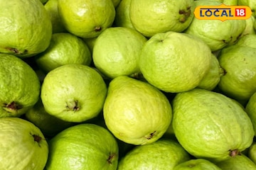 পেয়ারা খাওয়ার সঠিক সময় কোনটি? অন্য সময়ে খেয়ে বিপদ ডেকে আনছেন না তো? পেয়ারা খাওয়ার সঠিক সময় কোনটি? অন্য সময়ে খেয়ে বিপদ ডেকে আনছেন না তো?