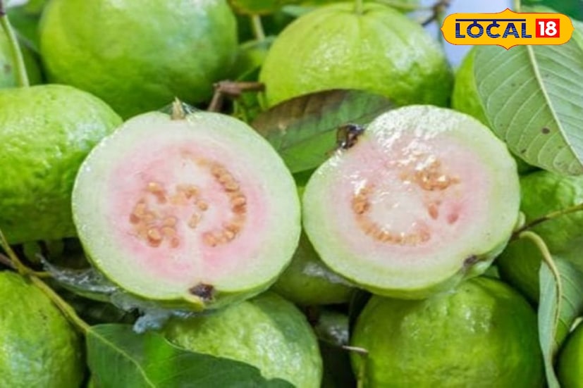 চিকিৎসক ডাঃ আলাহিম শেখ জানাচ্ছেন, পেয়ারায় রয়েছে উচ্চমাত্রার ভিটামিন সি, সেইসঙ্গে থাকে ভিটামিন এ, লাইকোপেন, পটাসিয়াম, ফাইবার এবং আরও অনেক খনিজ উপাদান। এই উপাদানগুলি শরীরের বিভিন্ন গুরুত্বপূর্ণ কাজকে সচল রাখতে সাহায্য করে। কিন্তু কখন এবং কীভাবে এই ফলটি খেলে আপনি এর সম্পূর্ণ উপকারিতা লাভ করবেন? নিম্নে তা নিয়ে আলোচনা করা হল।