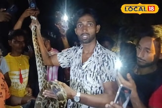 জাতীয় সড়কের ধারে, বাবারে বাবা... ওটা কী! রাতের ঘুম ছুটল গোটা এলাকাবাসীর