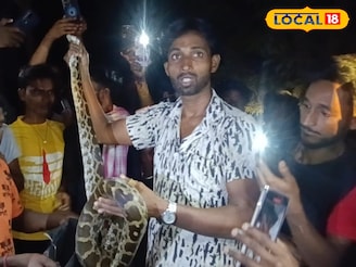 জাতীয় সড়কের ধারে, বাবারে বাবা... ওটা কী! রাতের ঘুম ছুটল গোটা এলাকাবাসীর