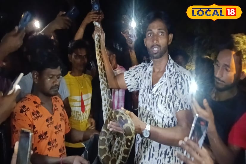 রানিগঞ্জ-মোড়গ্রাম ১৪ নম্বর জাতীয় সড়কের ধারে হঠাৎই দেখা মিলল এক বিশাল অজগরের। বীরভূম জেলার সদাইপুর থানার অন্তর্গত বাঁধেরশোল এলাকায় রবিবার রাতে চাঞ্চল্য ছড়াল।