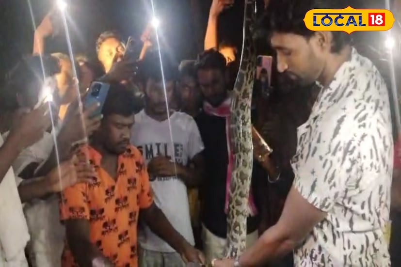 স্থানীয় বাসিন্দারা জানান, অজগরটি রাস্তা পার হচ্ছিল। তখনই তারা সেটিকে দেখতে পান। মুহূর্তে খবর ছড়িয়ে পড়তেই ভিড় জমে যায় জাতীয় সড়কের ধারে। কিছুক্ষণের জন্য যান চলাচলের গতি থেমে যায়। ছবি ও তথ্য: সুদীপ্ত গড়াই